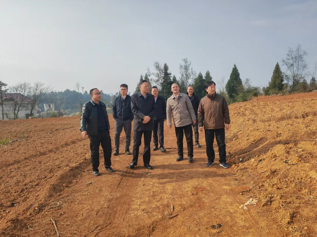 �ƶ�����(�й���½)�ٷ���վ